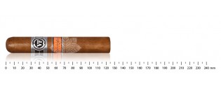 Zigarren Nicaragua Robusto Entdeckungspaket