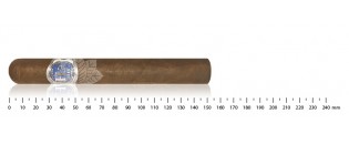 Zigarren Nicaragua Toro Entdeckungspaket