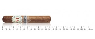 Zigarren Dominikanische Robusto Entdeckungspaket