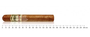 Zigarren Dominikanische Toro Entdeckungspaket