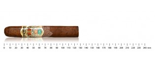 Zigarren aus Honduras Robusto Entdeckungspaket