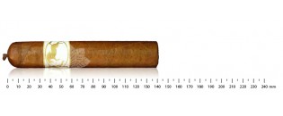Zigarren aus Honduras gordo Entdeckungspaket