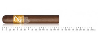 Zigarren aus Honduras gordo Entdeckungspaket