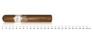 HR Robaina - White Line Robusto Gordo