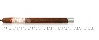 El Viejo Continente Lancero