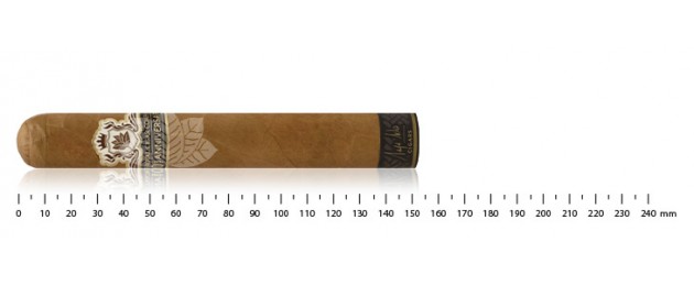 Flor de Selva 20 Anniversary Ceremonias