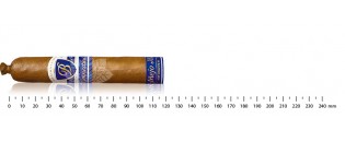 Balmoral Anejo XO Connecticut Petit Robusto