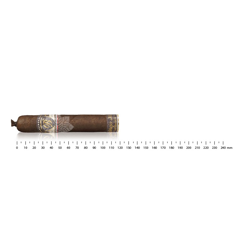 Balmoral Anejo XO Petit Robusto