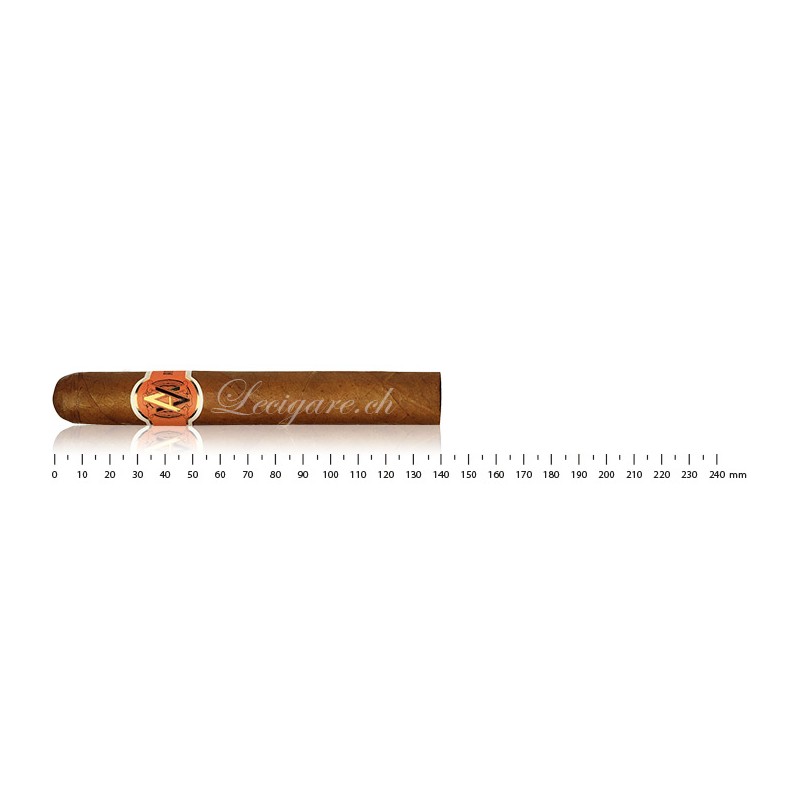 Avo XO Intermezzo Robusto