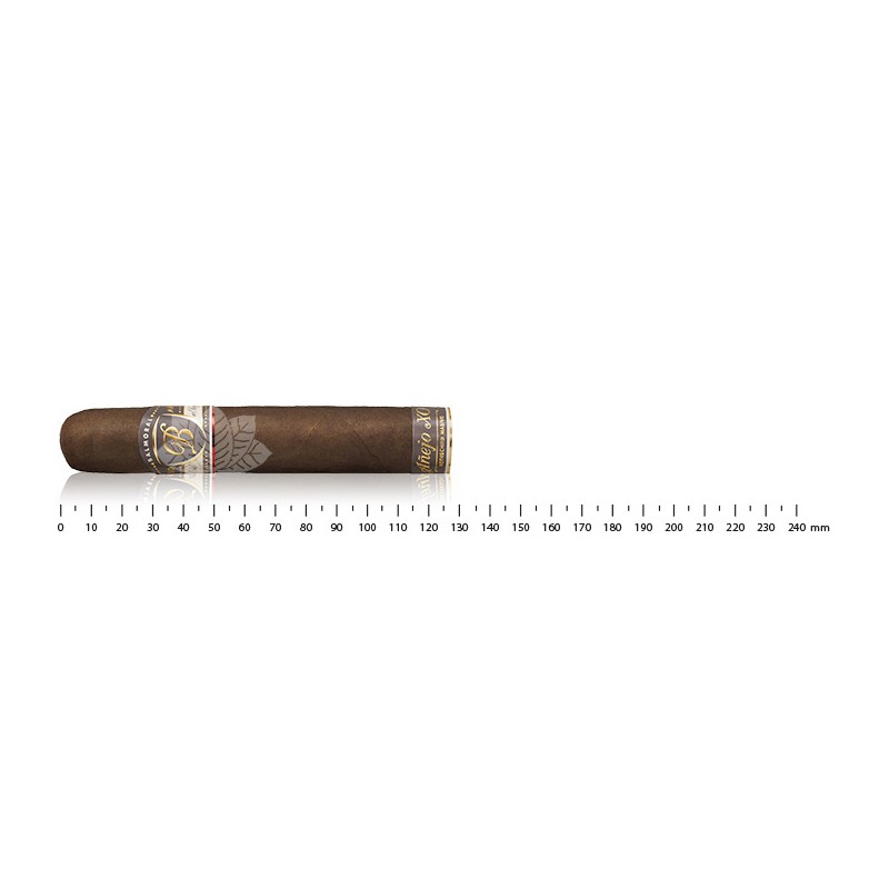 Balmoral Anejo XO Rothschild Massivo