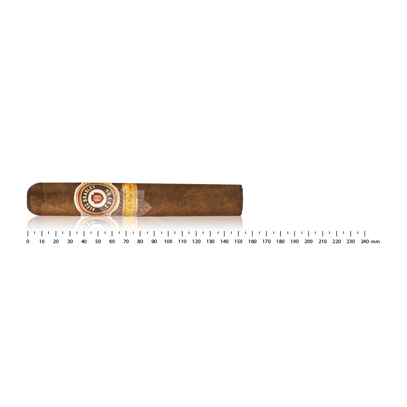 Alec Bradley Coyol Gordo