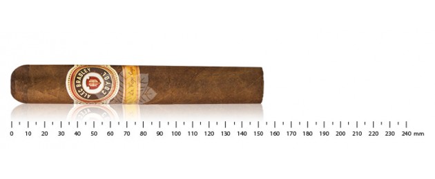 Alec Bradley Coyol Gordo