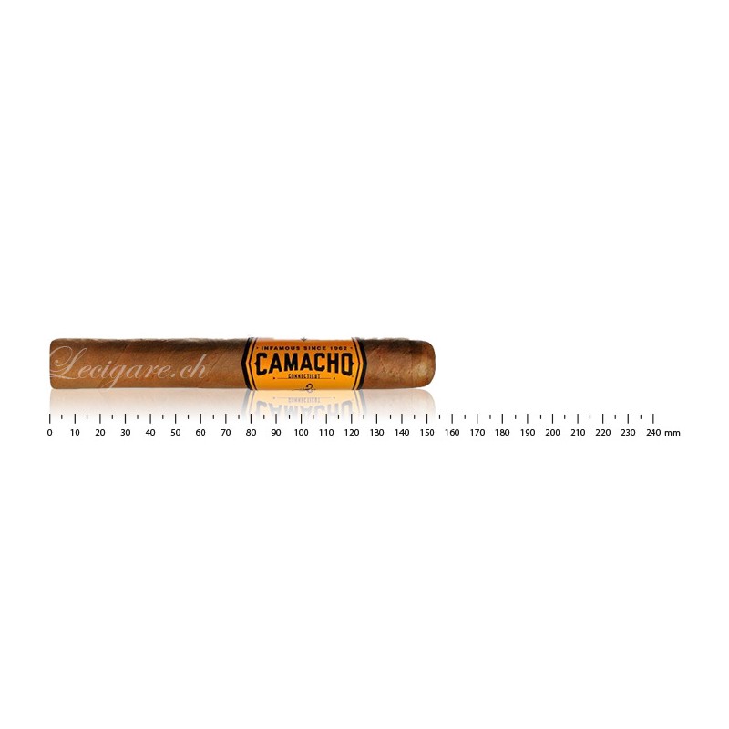 Camacho Connecticut Toro