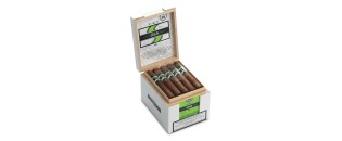 CAO OSA Lot 50