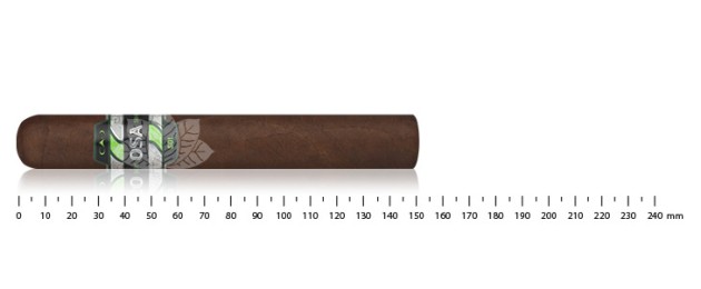 CAO OSA Lot 54