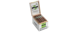 CAO OSA Lot 54