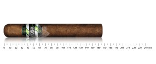 CAO OSA Lot 58