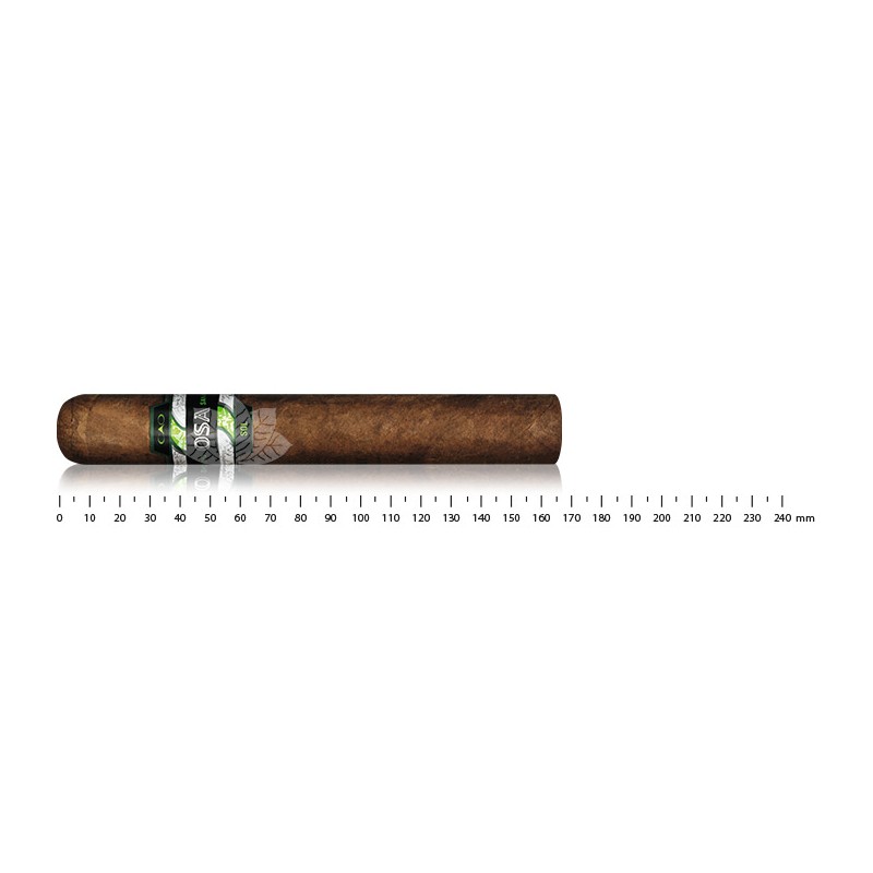 CAO OSA Lot 58