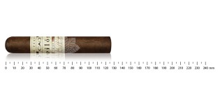 CAO Pilon Robusto Extra