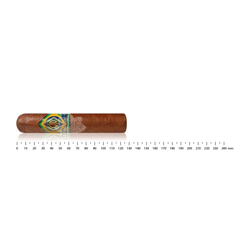 CAO Brazilia Gol Robusto