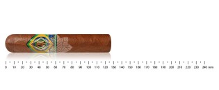 CAO Brazilia Gol Robusto