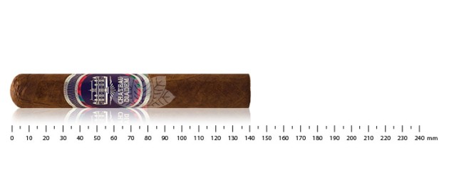 Chateau Diadem Conviction Double Robusto