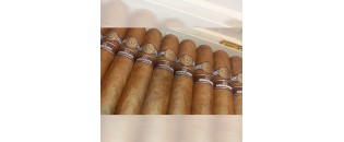 Montecristo 80 Anniversario