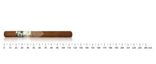 Combo box Cohiba Esplendidos