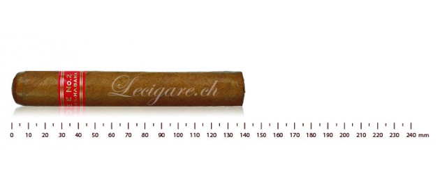 Partagas Série E No.2 AT (3)
