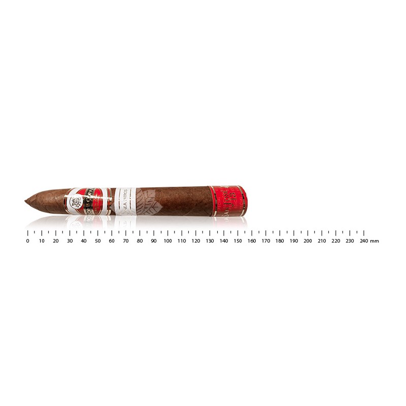 Flor de Copan LP Piramides San Jose