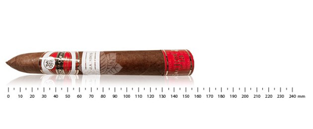 Flor de Copan LP Piramides San Jose