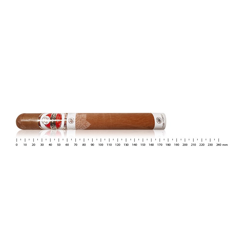 Flor de Copan Churchill