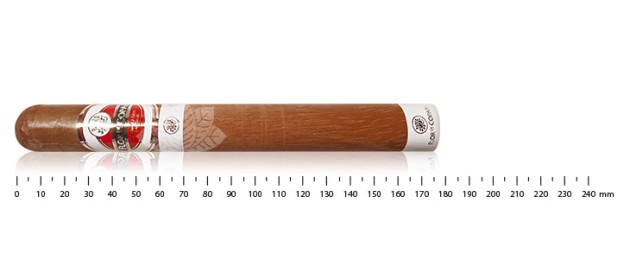 Flor de Copan Churchill
