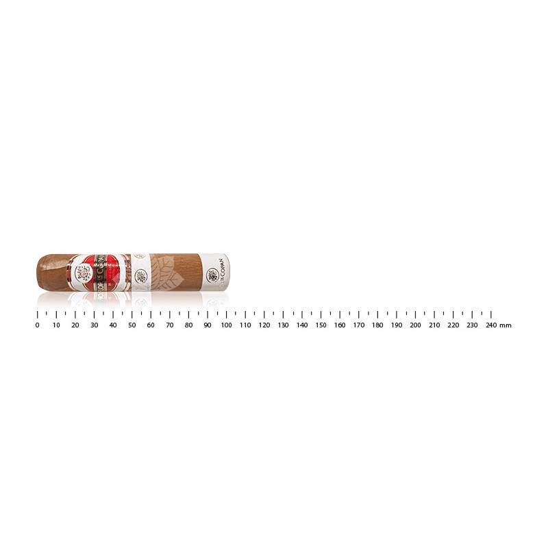 Flor de Copan Short Robusto