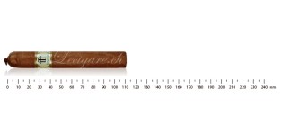 Combo box Trinidad Vigia