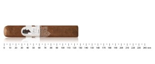 Gilbert de Montsalvat Signature Robusto