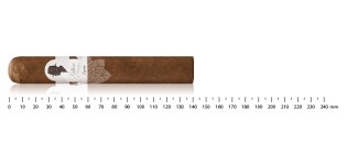 Gilbert de Montsalvat Signature Gran Robusto