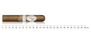 Davidoff Aniversario Special R