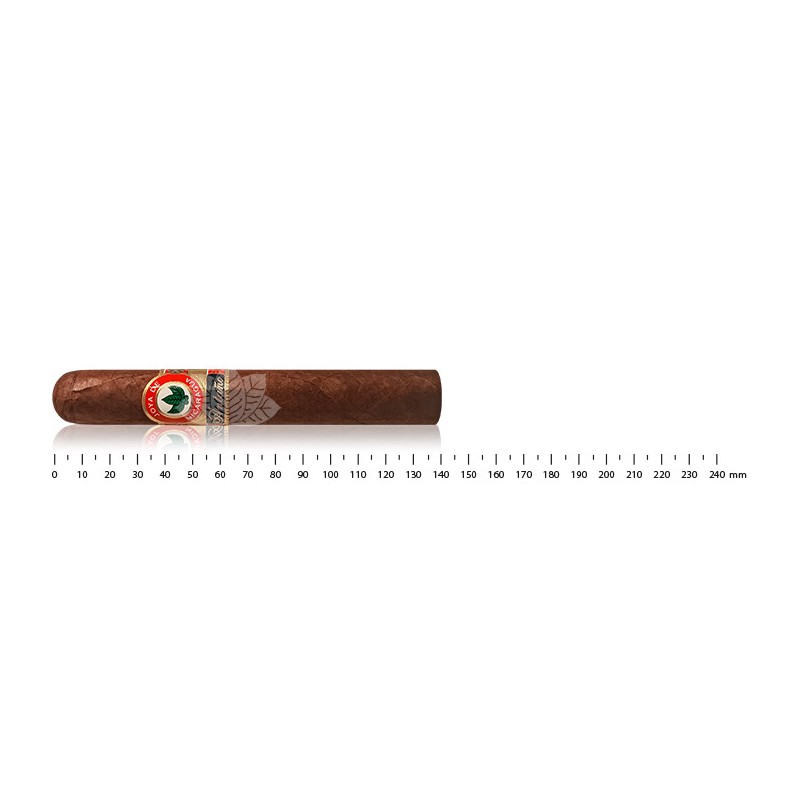 Joya de Nicaragua Antaño Shut the Box Robusto Grande