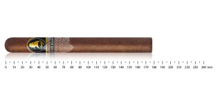 Davidoff Winston Churchill The Late Hour Churchill