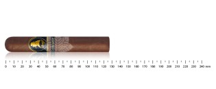 Davidoff Winston Churchill The Late Hour Robusto