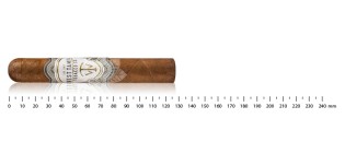 West Tampa White Robusto