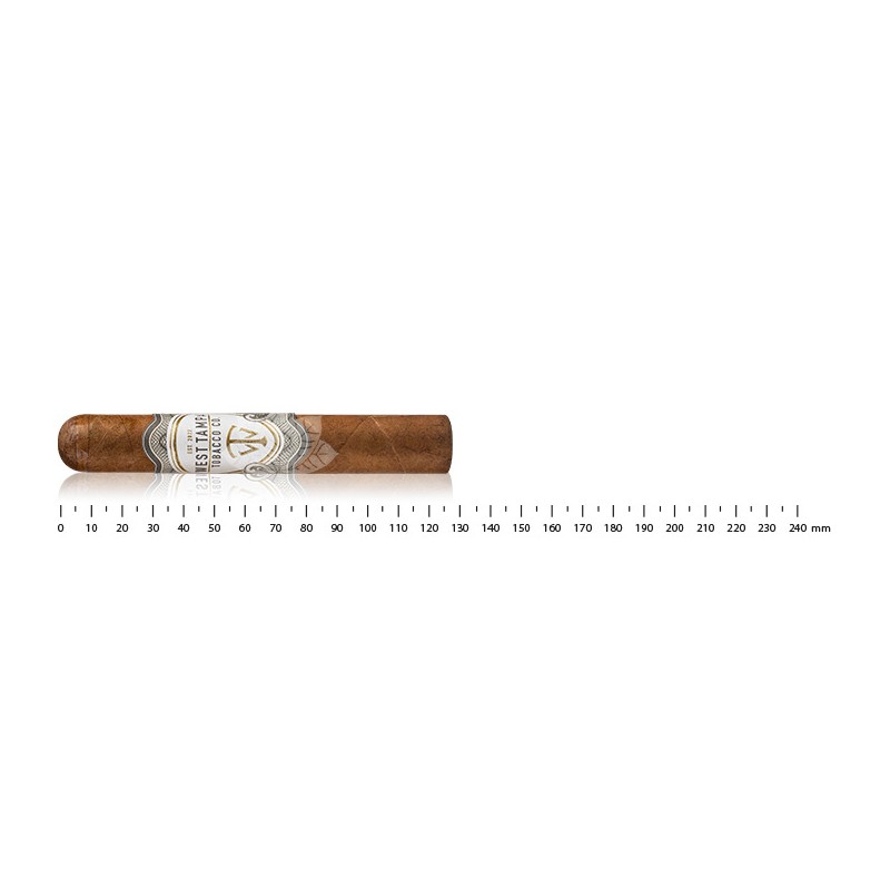 West Tampa White Robusto