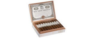 West Tampa White Robusto