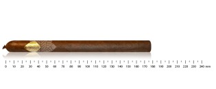 Cavalier Genève Lancero