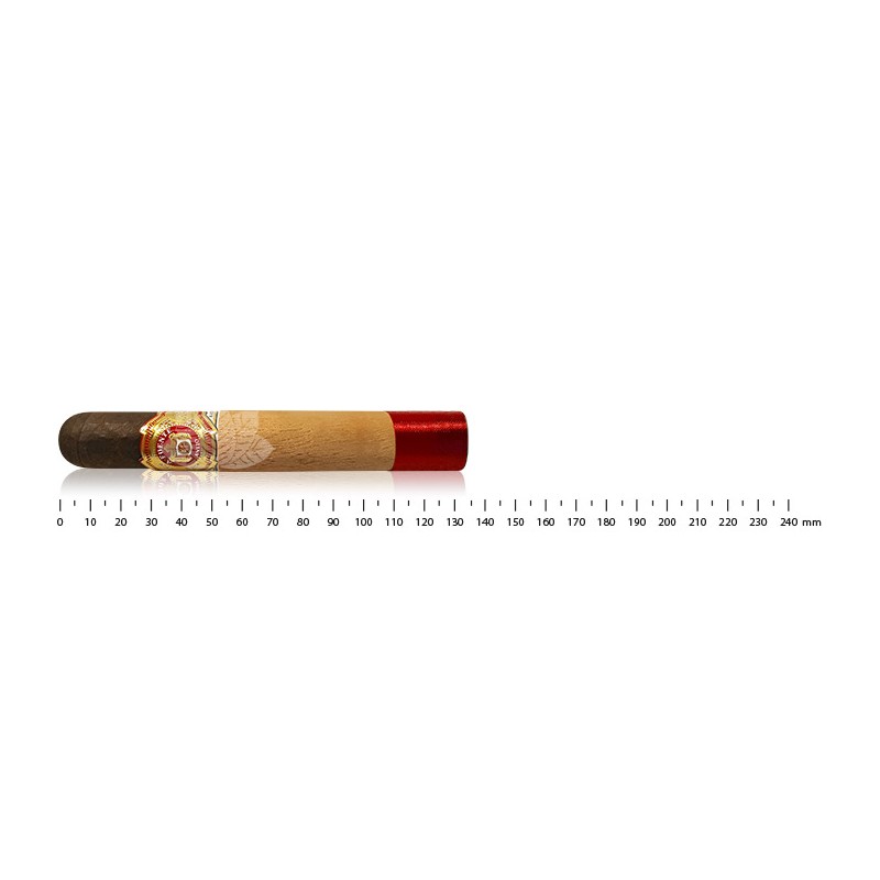 Zigarre Arturo Fuente Anejo #50 Robusto - Dominikanische Zigarren