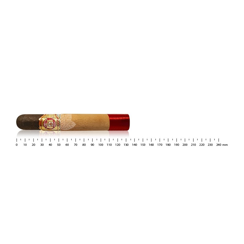 https://www.diezigarre.ch/7379-large_default/arturo-fuente-anejo-50-robusto.jpg