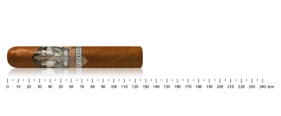 The Traveler First Class Robusto