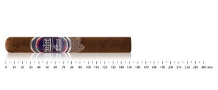 Zigarren Dominikanische Toro Entdeckungspaket (8 zigarren)
