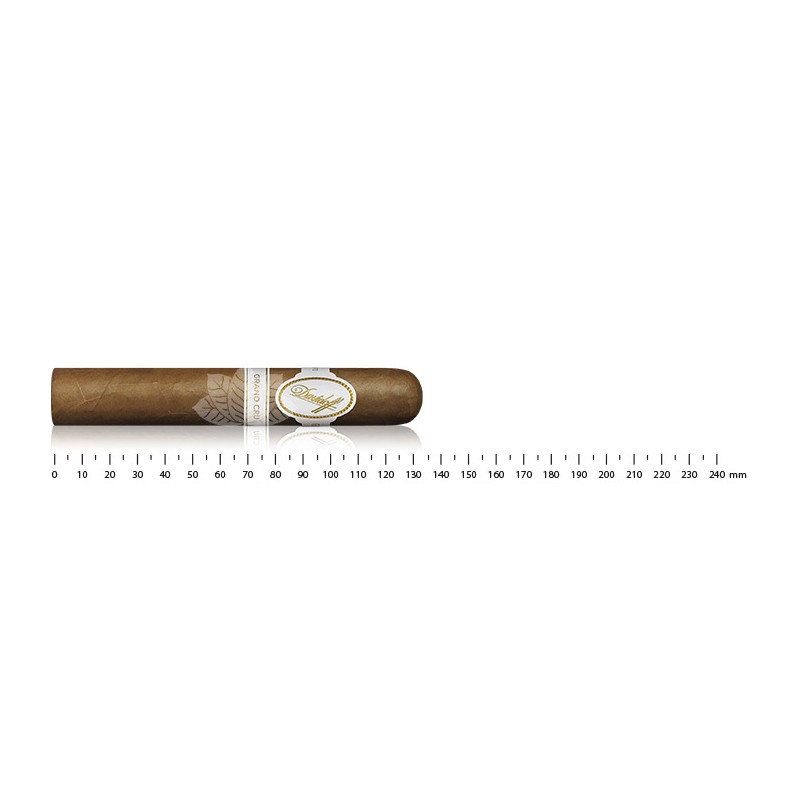 Davidoff Grand Cru Robusto